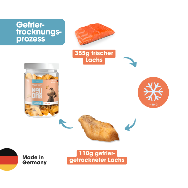 KAUDAS Hundeleckerli LachsPur Natursnack